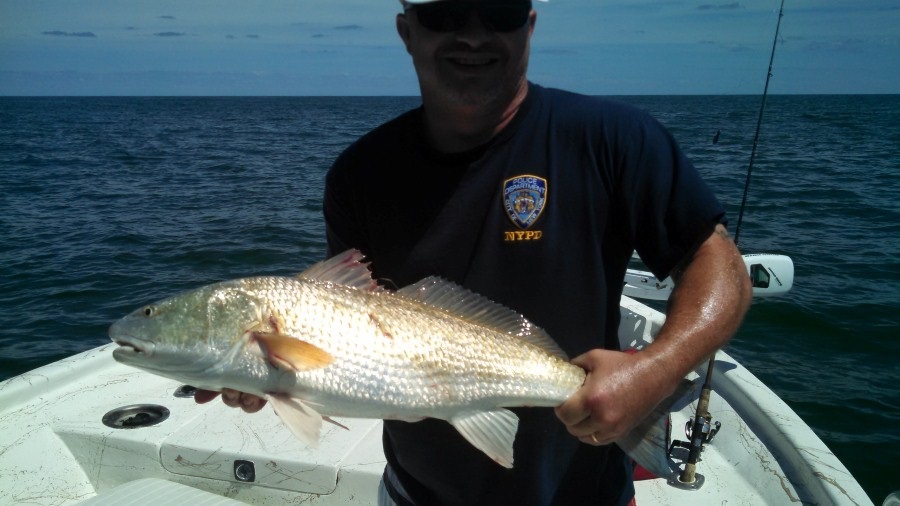 Inshore we are catching red drum, black drum, and a few flounder. May 2015 Fishing Report. Lots of great inshore and nearshore fishing action!!!