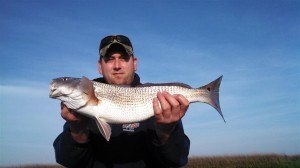 CarolinaExplorer 5-13-2014 fishing report: We are catching Red drum, Black drum, Trout, Spanish mackerel, Blues, and Bonito. Great fishing Action i...