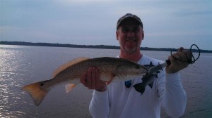CarolinaExplorer 6-25 fishing report:) We are catching redfish, black drum, flounder, trout, spanish mackerel, sharks, and various others! Call and...