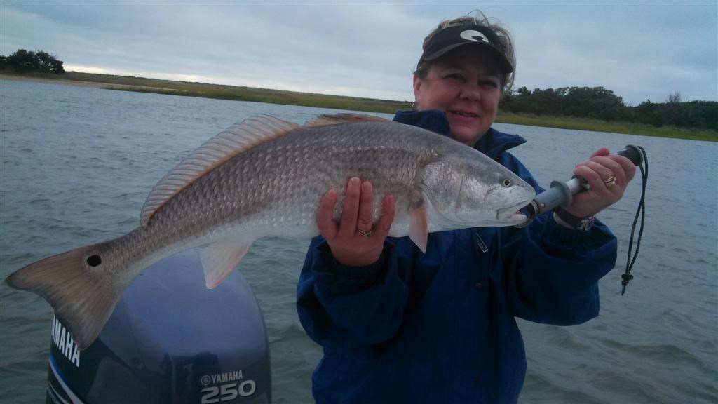 CarolinaExplorer 10-3 fishing report: Red drum, black drum, trout, flounder, spanish mackerel, sharks, and various others are biting. Fall fishing ...