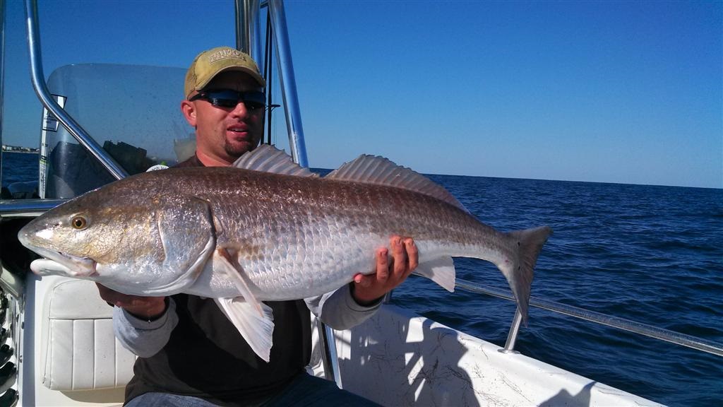11-4 CarolinaExplorer fishing report: Red drum, black drum, False Albacore, Blues, Trout, Whiting, and Various others are biting. Fall fishing is A...