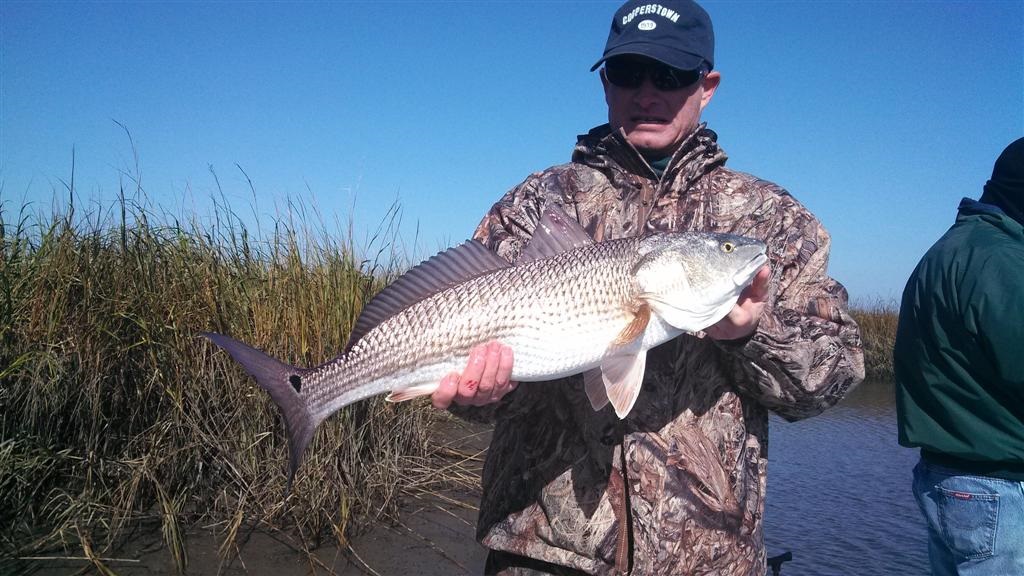 CarolinaExplorer 12-4 fishing report: Winter fishing continues to be good, Lots of red drum, black drum, and trout. Call 910-264-1807 and book your...
